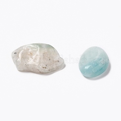 天然フラワーアマゾナイトビーズ  ドリルなし/穴なし  チップ  7~21x6~8x3~6mm  約100 G /袋&nbsp;G-I221-26-1