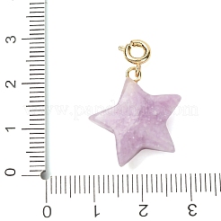 天然および合成宝石の星型ペンダント装飾  真鍮の留め金付き  30mm  穴：3mm&nbsp;G-B188-05G