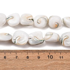 天然貝殻シェルビーズ連売り  ナゲット  ホワイト  12~16.5x11.5~16.5x6~9mm  穴：0.5mm  約28個/連  14.76''（37.5センチメートル）&nbsp;SH-CBAFA8D-01