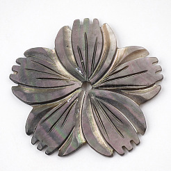 黒リップシェルビーズ  花  ブラック  37~38x39x2mm  穴：2mm&nbsp;SSHEL-S251-11