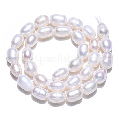 天然養殖淡水パールビーズ連売り  ライス  貝殻色  9~11.5x7~8mm  穴：0.7mm  約32~33個/連  13.78インチ〜13.98インチ（35~35.5cm）&nbsp;PEAR-N012-07F