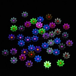 蓄光樹脂デコデンカボション  暗闇で光る  ツートンカラーの花  ミックスカラー  9x8.5x2.5mm&nbsp;RESI-K036-08B
