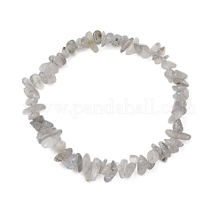 天然ラブラドライトチップビーズストレッチブレスレット（男女兼用）  内径：1-5/8インチ（4.25cm）&nbsp;BJEW-JB12086-02