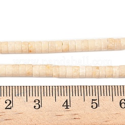 天然石フォッシルビーズ連売り  ヒシビーズ  フラットラウンド/ディスク  4~4.5x2.5mm  穴：0.7mm  約167個/連  15.43インチ（39.2cm）&nbsp;G-H230-11