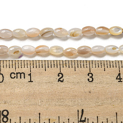 天然淡水シェルビーズ連売り  オーバル  桃パフ  3x4~5mm  穴：0.5mm  約75~78個/連  14.96~15.35''（38~39センチメートル）&nbsp;SHEL-H072-03