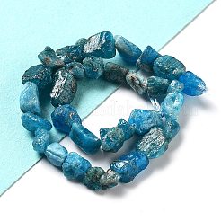 生の粗い天然アパタイトビーズ連売り  ナゲット  6.5~9x5~6x3~5mm  穴：0.8mm  約26~30個/連  7.48''~8.46''（19~21.5センチメートル）&nbsp;G-P528-B04-01