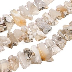 天然石桜色アゲート瑪瑙ビーズ連売り  台形  トップ掘削  19~46x19~21x6.5~8.5mm  穴：1.6mm  約21個/連  13.39~15.35''（39センチメートル）&nbsp;G-B187-B02-01