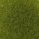 ガラスシードビーズ  トランスペアレント  ラウンド  緑黄  12/0  2mm  穴：1mm  約30000ビーズ/ポンド&nbsp;SEED-A004-2mm-4-2