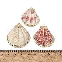 真鍮＆ナチュラルシェルペンダント  貝殻の形のチャーム  金メッキエッジ付き  ライトコーラル  35~38x31~34x5.5~6mm  穴：1.8mm&nbsp;SH-CBA27C9-10
