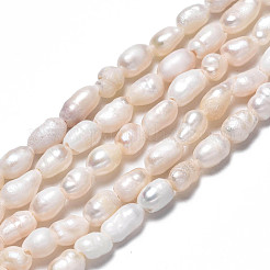 天然養殖淡水パールビーズ連売り  ライス  貝殻色  3.5~6x3~4mm  穴：0.7mm  約60~72個/連  12.99インチ〜13.78インチ（33cm〜35cm）&nbsp;PEAR-N012-03C