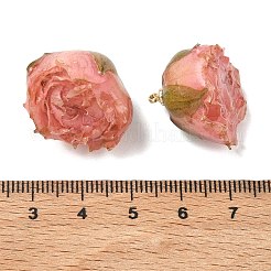 真鍮エポキシ樹脂ペンダント  内側にドライフラワーのペンダント  バラの花のチャーム  金色のループ付き  ピンク  19~27x21~27x19~28.5mm  穴：1.6mm&nbsp;FIND-D043-01G-01