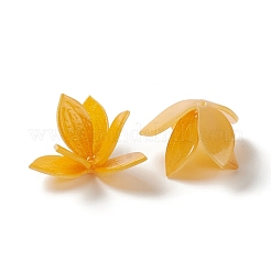 不透明樹脂ビーズキャップ  マルチ花弁  花  オレンジ  22x21x13mm  穴：1.4mm&nbsp;RESI-L035-14