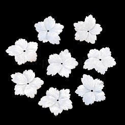 天然の白い貝殻の彫刻ビーズ  花  貝殻色  20x18.5x2.5mm  穴：1mm&nbsp;SSHEL-B006-06
