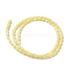 天然ニシキウズガイシェルビーズ連売り  染め  ライス  きいろ  5x3~3.5mm  穴：0.7mm  約81~82個/連  15.39''~15.51''（39.1~39.4センチメートル）&nbsp;SHEL-K006-19C