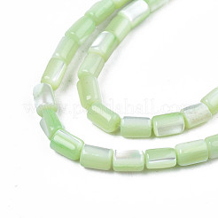 天然トロチッドシェル/トロカスシェルビーズ連売り  染め  コラム  アクアマリン  4~5x3~3.5mm  穴：0.9mm  約77~78個/連  15.55インチ〜15.75インチ（39.5~40cm）&nbsp;SHEL-N003-26-B08