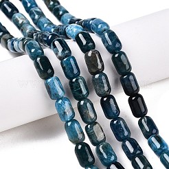 天然石アパタイトビーズ連売り  多面カット  コラム  9~9.5x6mm  穴：0.9~1mm  約42~43個/連  15.24~15.8''（38.7~39.5センチメートル）&nbsp;G-G980-51A