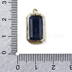 天然石ソーダライトペンダント  金色の真鍮のパーツと  長方形チャーム  多面カット  20.5x11x3.5mm  穴：1.2mm&nbsp;G-U019-04G-03