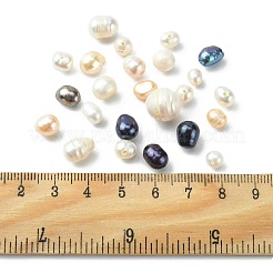 天然真珠とガラスビーズ  オーバル  ミックスカラー  6~10x3~10x2.5~10mm  穴：0.6~1mm&nbsp;BSHE-XCP0001-06