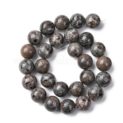 天然蛍光閃長岩 (UV ライトの下で光る) ビーズ 連売り  ラウンド  14~14.5mm  穴：1.2mm  約28~30個/連  15.35~16.14''（39~41センチメートル）&nbsp;G-G789-02E