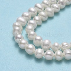 天然養殖淡水パールビーズ連売り  ポテト  ベージュ  4.5~5x5.5~6x5~5.5mm  穴：0.7mm  約75~76個/連  13.78~13.86インチ（35~35.2cm）&nbsp;PEAR-F018-15-01-X