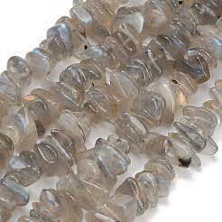 天然石ラブラドライトビーズ連売り  チップ  8~18.5x6.5~10x1.5~7mm  穴：0.7~1mm  約96~130個/連  15.94''（40.5センチメートル）&nbsp;GG-CBAC61B-C06-01