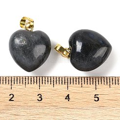 天然石ラブラドライトペンダント  真鍮のスナップオンベイル付きハートチャーム  ゴールドカラー  18x15.5x10mm  穴：5x3mm&nbsp;G-J386-H15-G