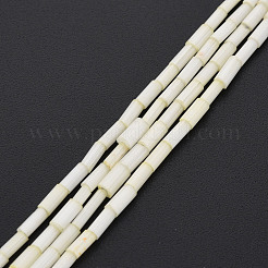 ガラスシルクステインスタイルビーズ連売り  チューブ  シャンパンイエロー  3.5~5x2~2.5mm  穴：1mm  約90~92個/連  15.43インチ〜15.75インチ（39.2cm〜40cm）&nbsp;GLAA-N047-001B-02