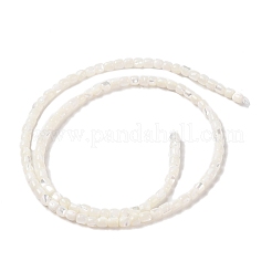 天然ニシキウズガイシェルビーズ連売り  コラム  漂白  3~4x3~4mm  穴：0.8~2mm  約110個/連  14.96''（38センチメートル）&nbsp;SHEL-P017-04