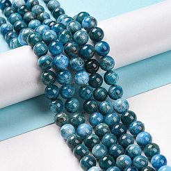 天然石アパタイトビーズ連売り  グレードAB  ラウンド  8mm  穴：1mm  約25~26個/連  7.68インチ&nbsp;G-S333-8mm-031A