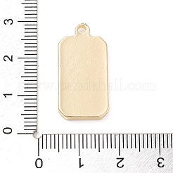 タロット合金エナメルペンダント  ゴールドカラー  長方形のチャーム  目  26x13x3mm  穴：2mm&nbsp;FIND-Z057-02G-02