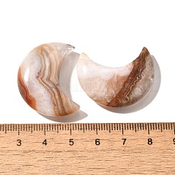 天然アメジストレースアゲートペンダント  縦穴  ムーン  30x23.5~24.5x8~8.5mm  穴：1.4mm&nbsp;G-A244-08C