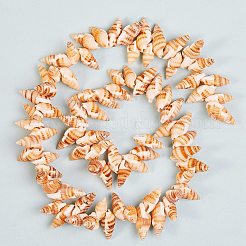 天然石スパイラルシェルビーズ連売り  小麦  14~20x7~10x6~8mm  穴：1mm  15.35インチ（39cm）  1連売り/箱&nbsp;BSHE-SZ0001-03