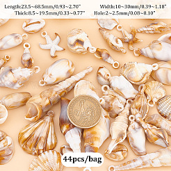 アクリルパーツ1袋  模造シェル  バリーウッド  23.5~68.5x10~30x8.5~19.5mm  穴：2~2.5mm  44個/袋&nbsp;SACR-PH0002-22