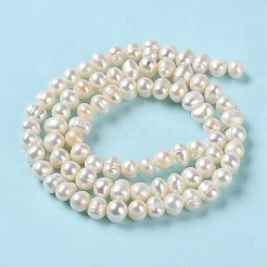 天然養殖淡水パールビーズ連売り  ポテト  グレードA  パパイヤホイップ  4.5~6.5x4~4.5mm  穴：0.6mm  約78個/連  13.66インチ（34.7cm）&nbsp;PEAR-E018-59