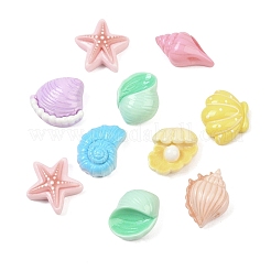 海をテーマにしたオペーク レジン カボション  貝殻の形と巻貝とヒトデ  ミックスカラー  11~15x9~15x6~8mm&nbsp;RESI-Z048-01