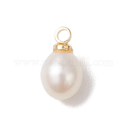 天然淡水真珠ライスチャーム  真鍮パーツ  ゴールドカラー  乳白色  10.5~11x6.5mm  穴：1.6mm&nbsp;PALLOY-JF04858-01