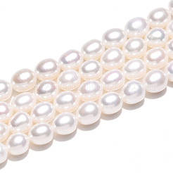 天然養殖淡水パールビーズ連売り  ライス  乳白色  7~8x6.8~7.3mm  穴：0.5mm  約45~46個/連  14.37~14.57''（36.5~37センチメートル）&nbsp;PEAR-N012-07Z