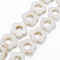 Freshwater Shell Beads Frames Strands, Dyed, Flower, White, 15~16x15.5~16.5x3mm, Hole: 1mm, about 23~24pcs/strand, 9.33''~10.24''(23.7cm~26cm)
