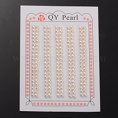 天然な培養された淡水パールビーズ  片穴  ロンデルビスク  3~3.5x3mm  穴：0.8mm