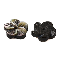 天然の黒リップシェル彫刻ビーズ  花  7.5~8x8x2~2.5mm  穴：0.8mm&nbsp;SHEL-A006-11A