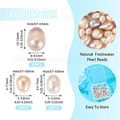 60個 3スタイル 天然養殖淡水パールビーズ  ライス  ミックスカラー  6~14x5~8.5mm  穴：0.7~0.8mm  20個/スタイル&nbsp;PEAR-TA0001-24