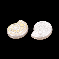 ABSプラスチックパール調ビーズ  ゴールドライン入り  巻き貝  乳白色  18.5x15.5x5.5mm  穴：1.8mm  約532個/500g&nbsp;PL-N007-39