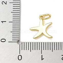 ラックメッキ真鍮チャーム  長持ちメッキ  鉛フリー＆カドミウムフリー  ヒトデのチャーム  18KGP本金メッキ  11.5x10.5x1.5mm  穴：3mm&nbsp;KK-K392-58G