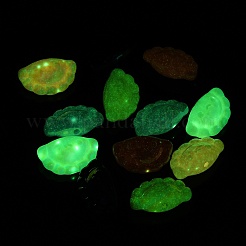 UVメッキ不透明アクリルビーズ  蓄光ビーズ  虹色の  顔つき餃子  ミックスカラー  18x29x12.5mm  穴：2.5mm&nbsp;SACR-L005-10