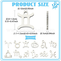 12個 12スタイル 304ステンレススチール 星座ペンダント  ミックスシェイプチャーム  ステンレス鋼色  8~12x11~13x1mm  穴：1.2mm  1個/スタイル&nbsp;STAS-FS0002-34