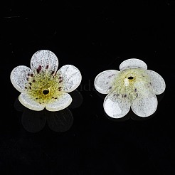 プラスチックビーズ  花  きいろ  15~16x15~16.5x3~4mm  穴：1.2mm&nbsp;KY-N015-52