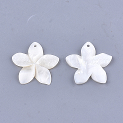 刻まれた淡水シェルペンダント  花  アイボリー  31~34.5x32~35.5x3~4mm  穴：1.6mm&nbsp;X-SHEL-T012-54