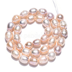 天然養殖淡水パールビーズ連売り  ライス  小麦  9~11.5x8~8.5mm  穴：0.7~0.8mm  約34~35個/連  13.78インチ（35cm）&nbsp;PEAR-N012-08L
