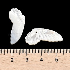 天然の白い貝殻の彫刻ペンダント  翼のチャーム  25.5x11x3mm  穴：1mm&nbsp;SSHEL-I026-07A