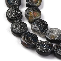 電気メッキガラスビーズセット  半分虹メッキ  カタツムリ  ブラック  12.5x11.5x4.5mm  穴：1mm  約50個/連  24.41インチ（62cm）&nbsp;EGLA-F164-HP02